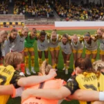 awakening-giants-dortmund-add-stardust-to-their-rise-through-leagues-pKMxZLsT.webp