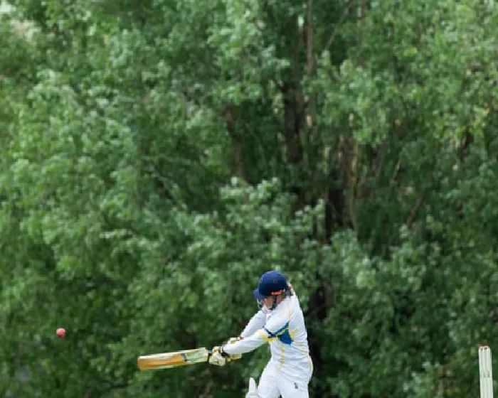 the-hotspot-why-willows-put-the-rest-in-the-shade-when-cricket-goes-nh2Wtwpk.webp
